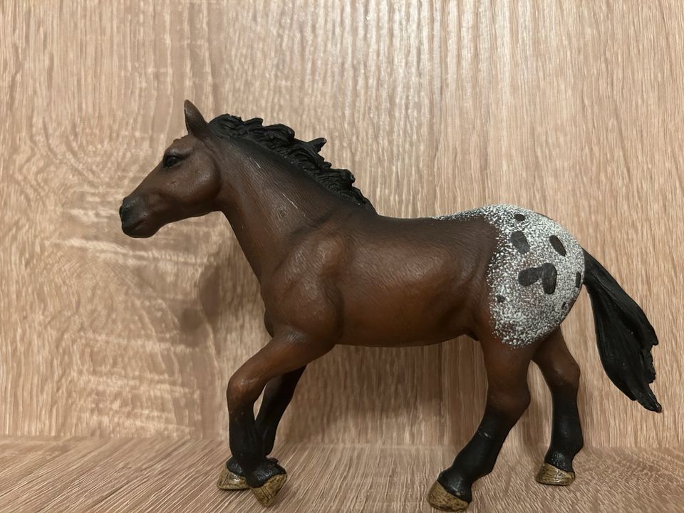 Schleich Pferde in Rudersberg