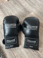 Evolution Boxhandschuhe Baden-Württemberg - Fellbach Vorschau