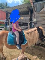 Ponysattel /Shettysattel Bayern - Altertheim Vorschau