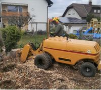 Wurzelfräsen Wurzel Wurzelstumpf Fräsen Baumwurzel entfernen Hessen - Hanau Vorschau