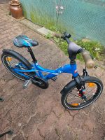 18 Zoll Kinderfahrrad Sachsen-Anhalt - Dessau-Roßlau Vorschau