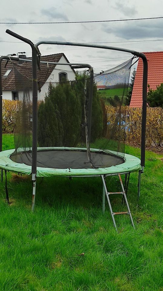 Trampolin groß Domyos MT 240 Netz Leiter in Witten