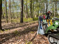 Durchforstung Holzrücken Holzeinschlag Rodung Bayern - Oerlenbach Vorschau