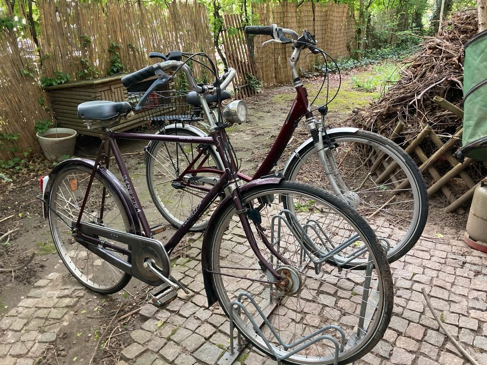 Gazelle Fahrrad zum Aufbereiten in Köln