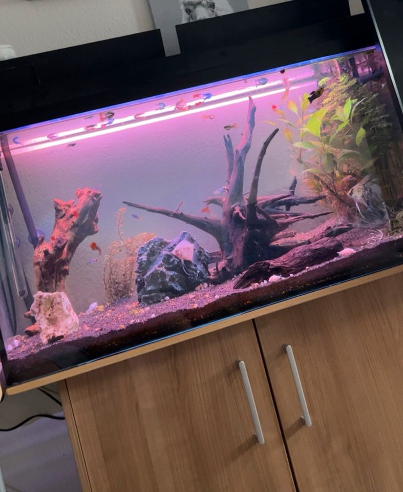 Aquarium 250l mit Unterschrank in Plochingen