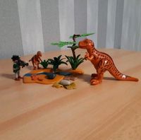 Playmobil Dinosaurier mit Kameramann Schleswig-Holstein - Neumünster Vorschau
