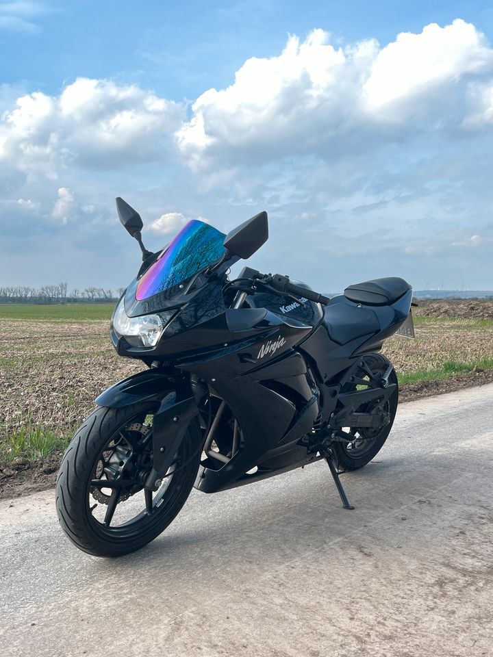 Kawasaki Ninja 250R in Nienburg (Weser)
