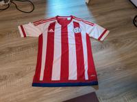 orig. Adidas Trikot Paraguay Gr. S **selten** Adidas Sample Niedersachsen - Celle Vorschau