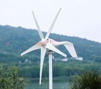 3000W 48V Windkraftanlage Turbine Windgenerator Windrad 5 Klinge Hessen - Bebra Vorschau