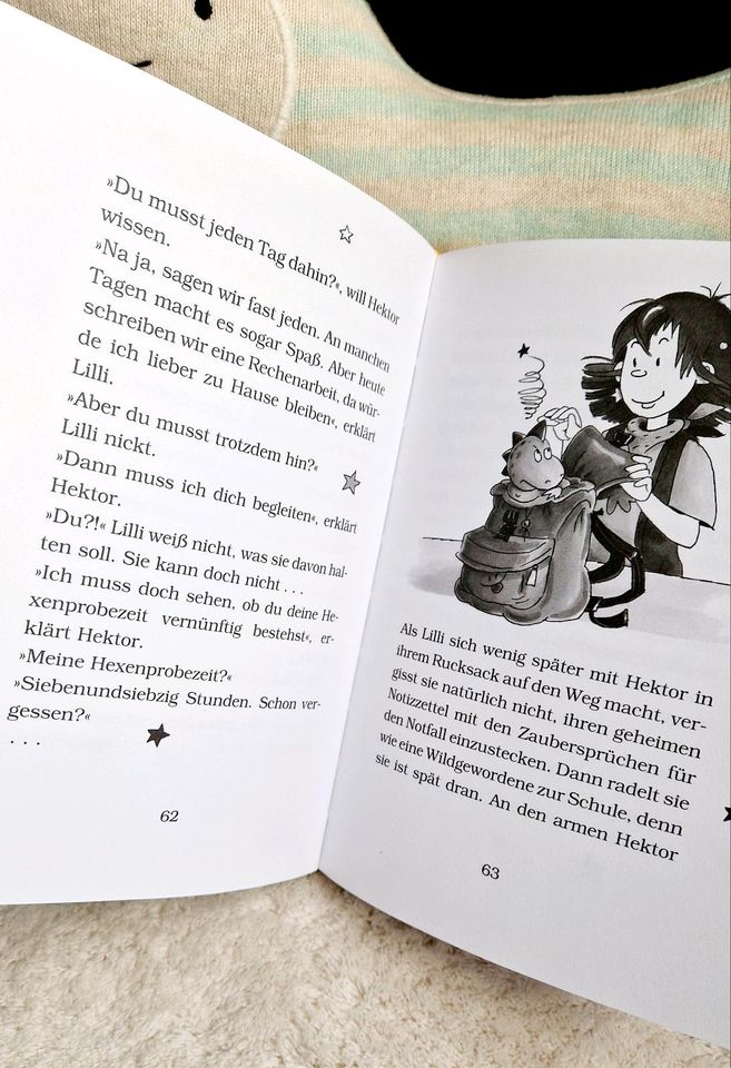 HEXE LILLI 2x ❤️ das magische Schwert + Buch des Drachen Bücher in Mauritz