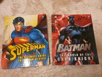 Englisch Superhero books Batman Superman Wandsbek - Hamburg Marienthal Vorschau