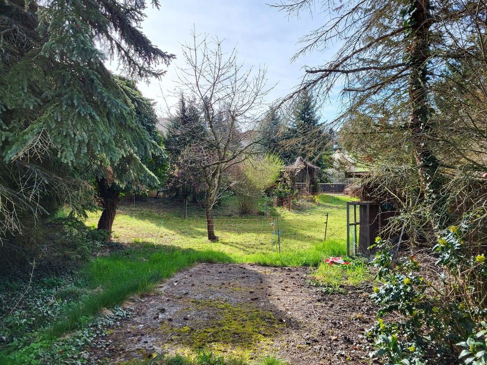 Traumhaftes Gartengrundstück in Dornburg (Saale) in Dornburg