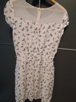 Sommerkleid H&M 36 38 birds Print luftig super süß Dresden - Striesen-Ost Vorschau