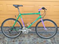 Retro MTB Arcadia mit Shimano Deore DX Ausstattung Rheinland-Pfalz - Gries Vorschau