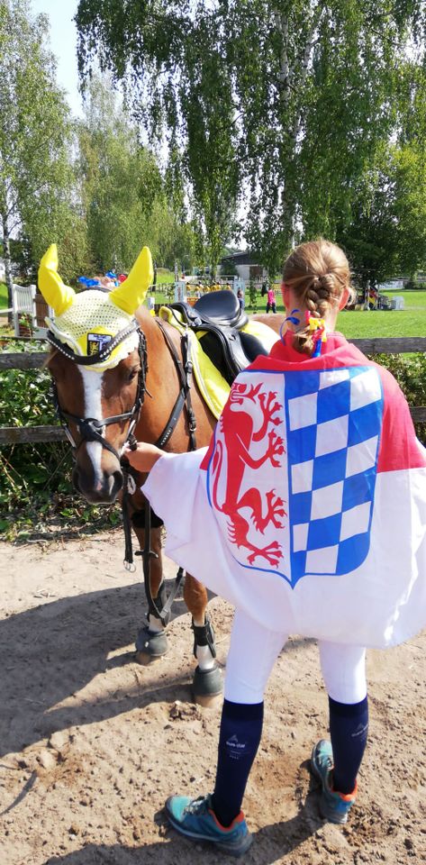 Deutsches Reitpony, Springpony, Fuchs, Wallach in Falkenberg