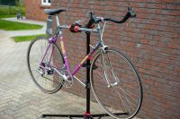 Original Bottecchia Rennrad - Vintage - Shimano 105 51cm Schleswig-Holstein - Itzstedt Vorschau