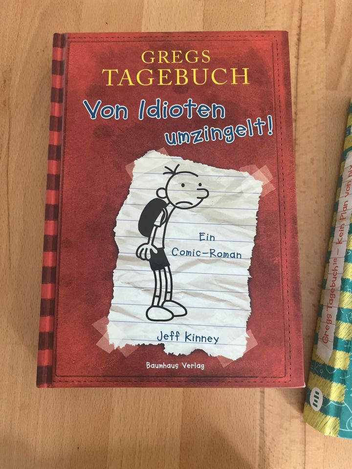 5 Bücher Gregs Tagebuch in Delbrück
