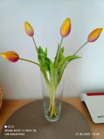 Deko Tulpen Vase Nordrhein-Westfalen - Rees Vorschau