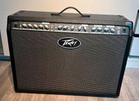 Peavey Special 212 Combo Gitarrenverstärker Stuttgart - Stammheim Vorschau