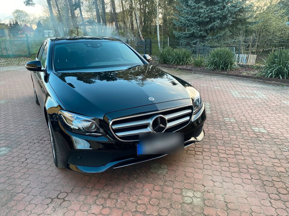 Mercedes E W213 4matic in Bad Freienwalde