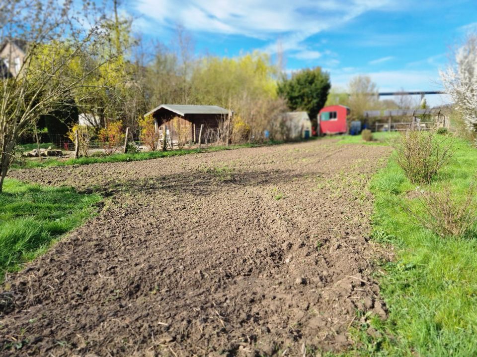 Neue Mitstreiter*Innen für biologisches Gärtnern gesucht! in Mülheim (Ruhr)