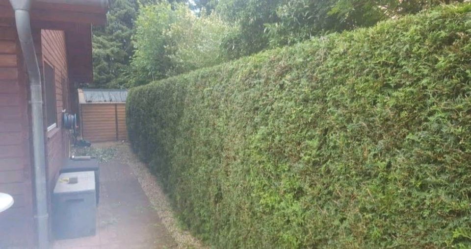 Laubbeseitigung, Baumschnitt, Hecke schneiden, Gartenarbeiten in Neu Wulmstorf