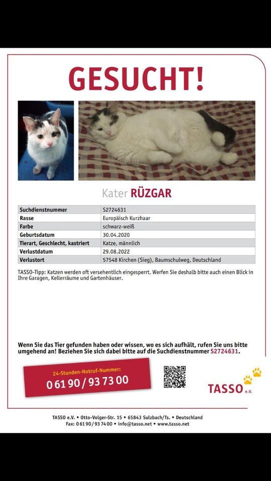 !!! 1.000 € Belohnung !!! Kater Rüzgar !!! in Kirchen (Sieg)