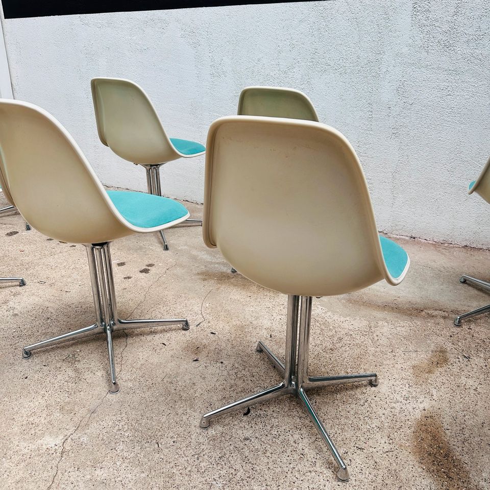 8x Herman Miller / Vitra | Charles & Ray Eames | Fiberglass Side Chairs / Sidechairs | Fiberglas | Vintage Mid-Century Designklassiker in Köln