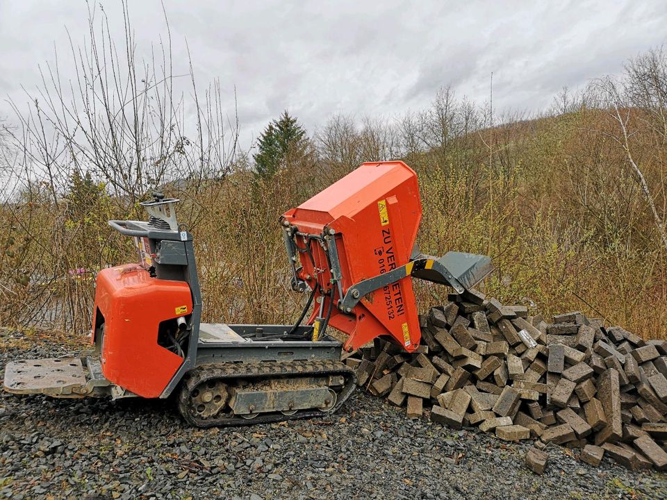 Kettendumper Minidumper Bagger Vermietung Verleih Mieten Bestwig in Bestwig