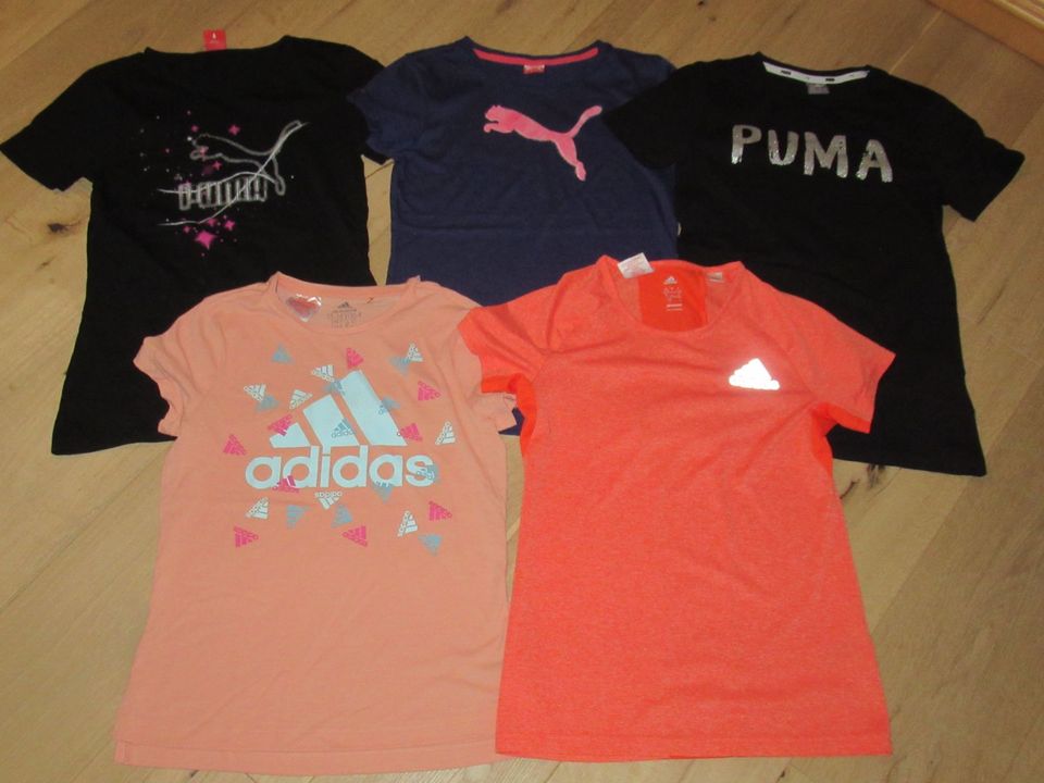 Sportshirt T-Shirt Sportkleidung Adidas Puma Gr. 164 L in Bielefeld
