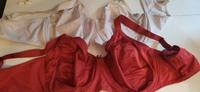 2 Triumph Essential Minimizer BHs 95E Saarland - Schwalbach Vorschau