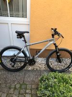 Specialized Mountainbike | Silber Leipzig - Sellerhausen-Stünz Vorschau