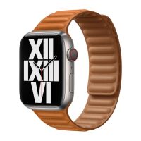 Apple Watch Link Lederarmband Golden Brown Dortmund - Bodelschwingh Vorschau