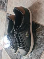 Lacoste Sneaker Sportschuhe Gr42 Neuw. Nordrhein-Westfalen - Paderborn Vorschau