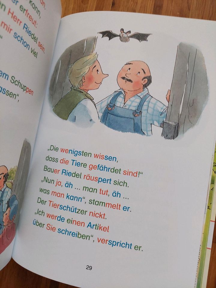 Erstleser Bücher Klasse 1 Tiergeschichten Kleine Wirbelhexe Lexa in Gerlingen