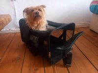 Tragetasche für Hunde - travel bag for dog Mitte - Gesundbrunnen Vorschau