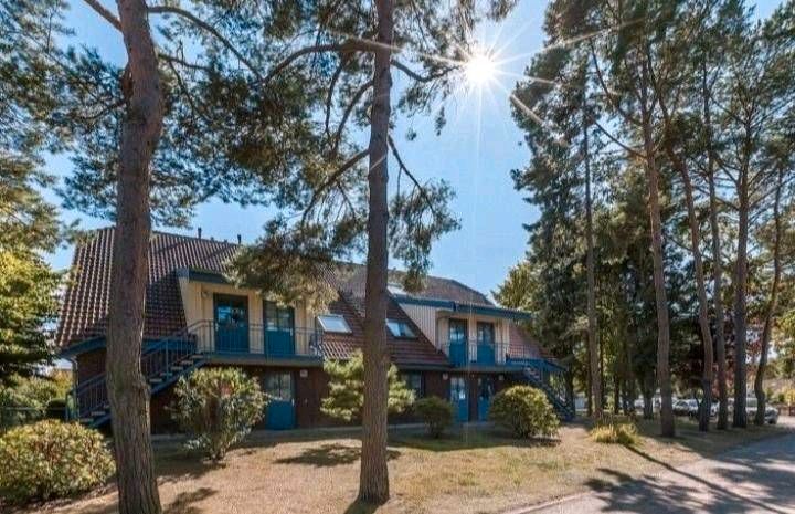 Tolle Lage Ostsee FerienWohnung Haus WLAN Tanz in den Mai in Boltenhagen