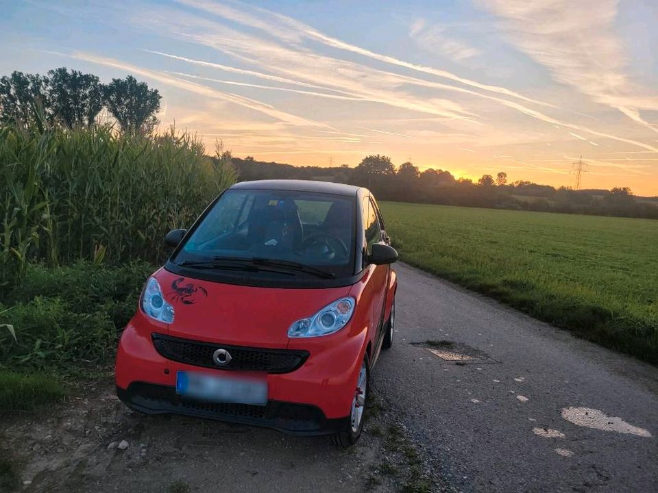 Smart Fortwo 451 Coupe - Tüv Neu in Bad Wörishofen