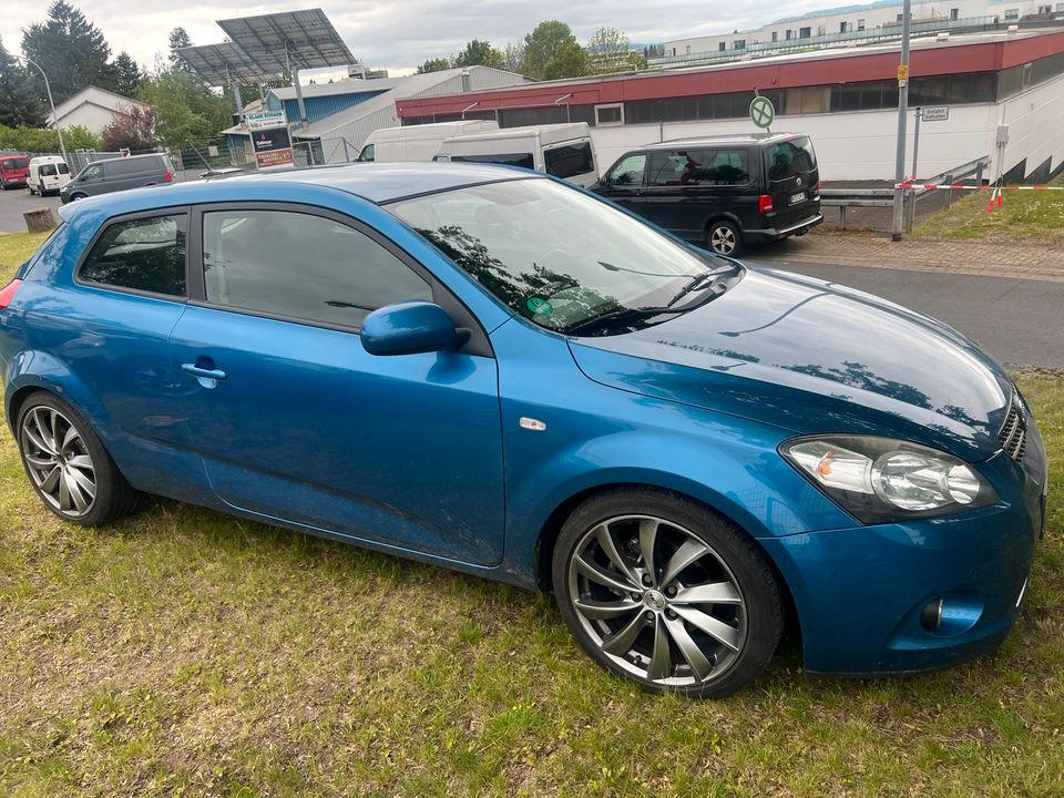 KIA CEED SPORT in Niestetal