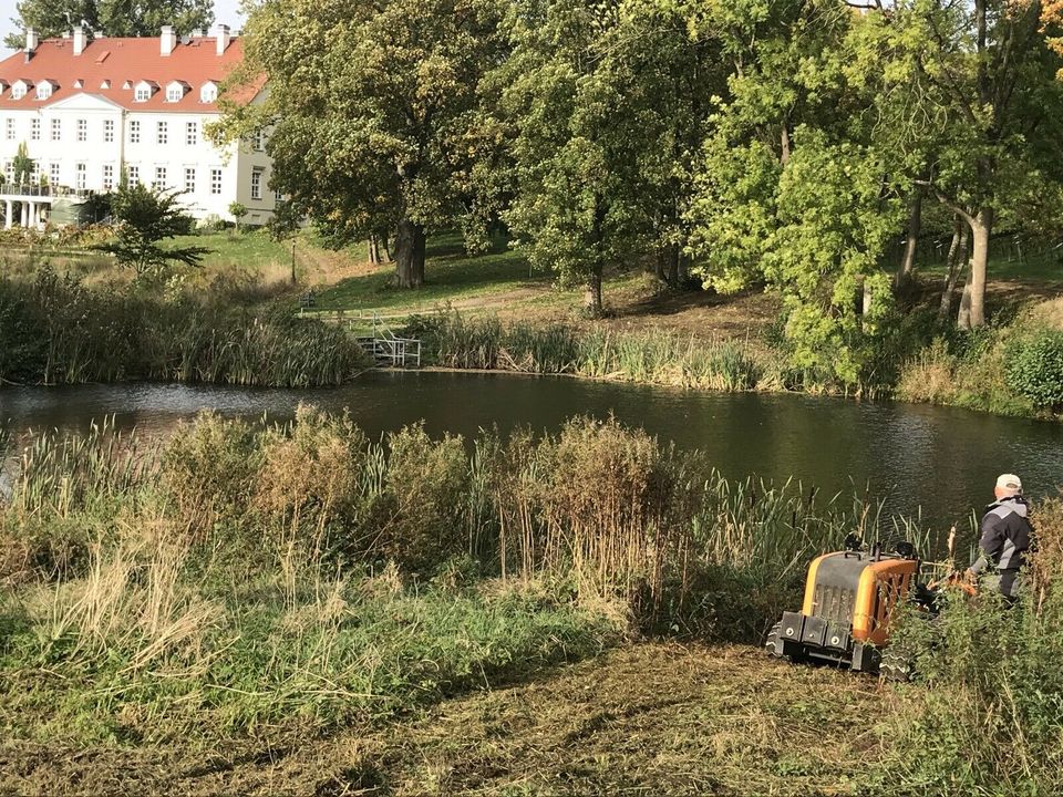 Landschaftspflege Forstmulcher Mähraupe Neuanlage Rasen Fräse in Woldegk