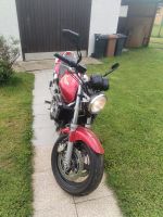 Honda Hornet 600 Baden-Württemberg - Waldachtal Vorschau