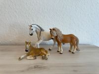 Schleich Pferde Set - zwei Stuten und ein Fohlen Nordrhein-Westfalen - Bottrop Vorschau