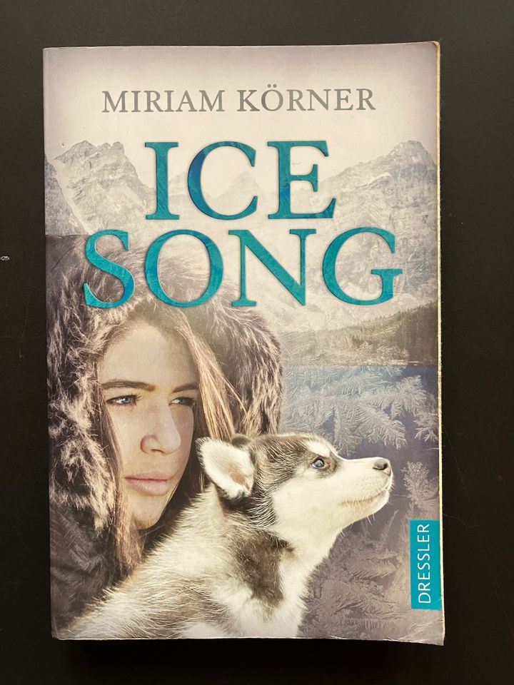 ICE SONG von MIriam Körner in Todtnau