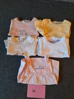 Baby T-Shirt Gr.56 Baden-Württemberg - Ulm Vorschau