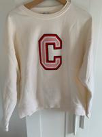 Closed Pullover XL neu Nordrhein-Westfalen - Paderborn Vorschau