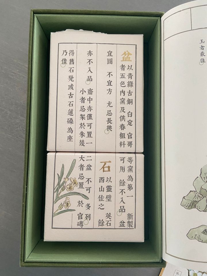 Geschenk Set - Blumen Narzissen - Suzhou Museum China in Fellbach