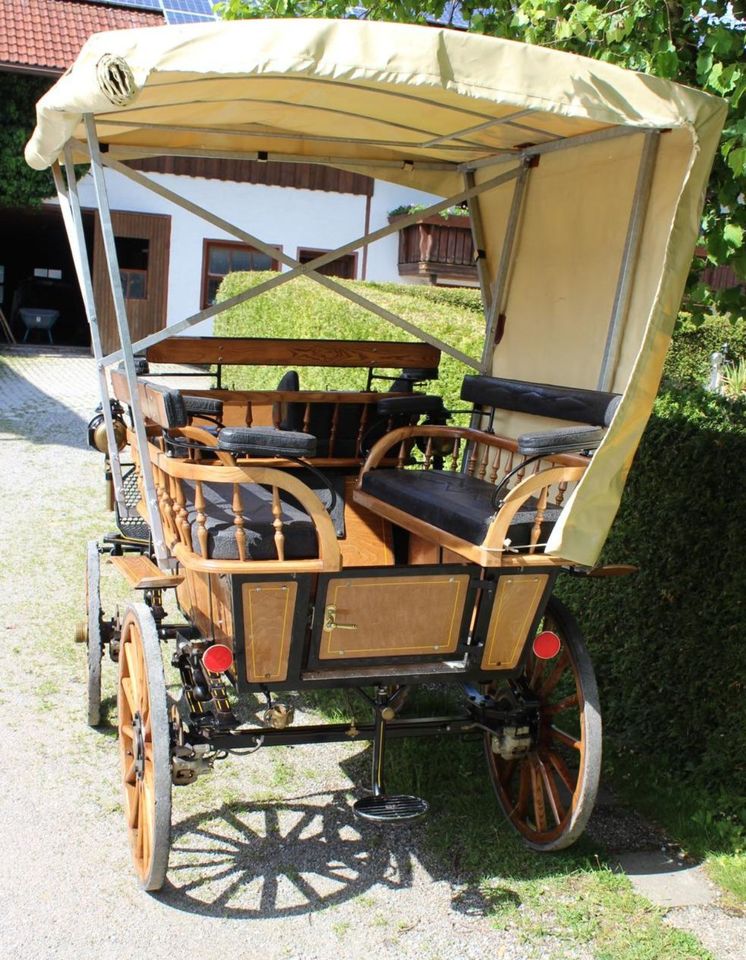 Kutsche, Linzer Wagonette 6 Sitzer, Holz, Verdeck in Leutkirch im Allgäu