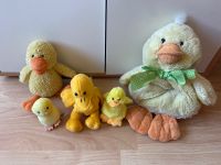 Stofftiere Küken Enten Nordrhein-Westfalen - Jülich Vorschau