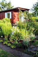 Suche Kleingarten/ Schrebergarten oder Grundstück in Frankfurt West - Sossenheim Vorschau