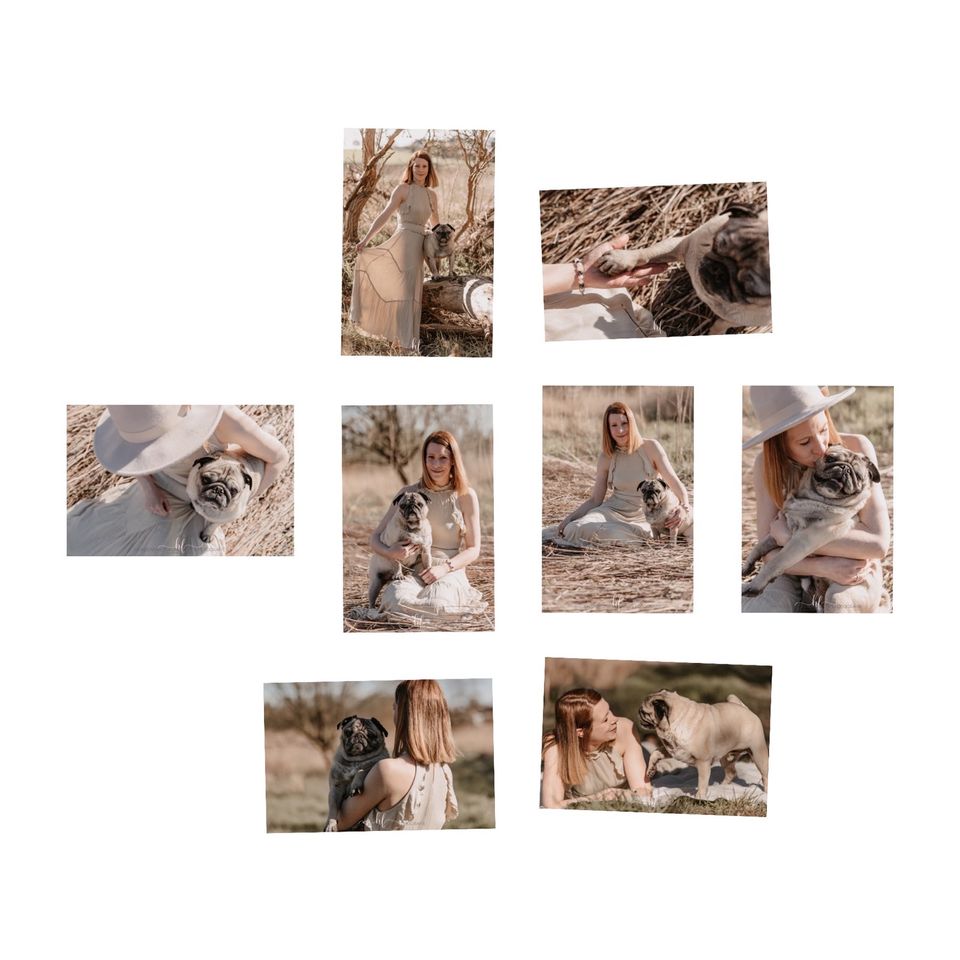 Hundeshooting/Fotoshooting/Vierbeiner in Lengede